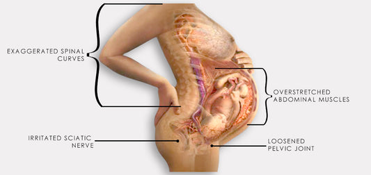 Pregnancy Belt for Women – Adjustable Maternity Support Belt with Shoulder Straps